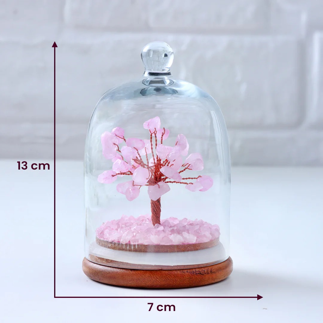 Love Attraction Dome Tree - Image 6