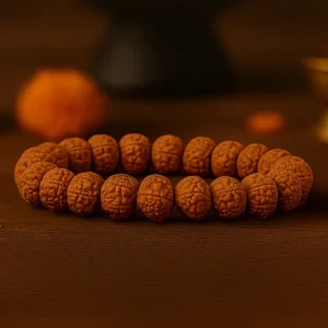 5 Mukhi Rudraksha Bracelet